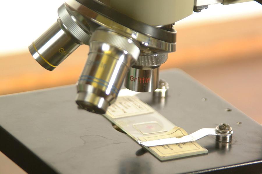 microscope